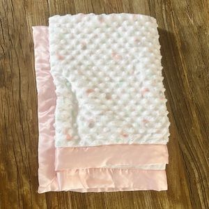 Minky girls baby blanket!